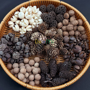 开口笑水杨子DIY花材 落叶松五眼果露露通足球果 教师节手工干花