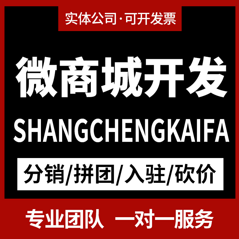 商城网站搭建小程序开发定制分销平面广告设计