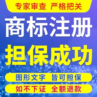 申请查询转让续展代理品牌logo设计版权登记加急