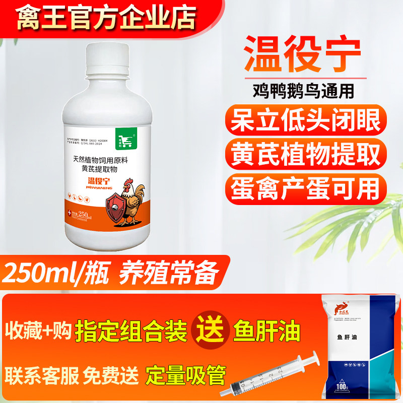 温役宁家禽养殖用中药材黄芪液