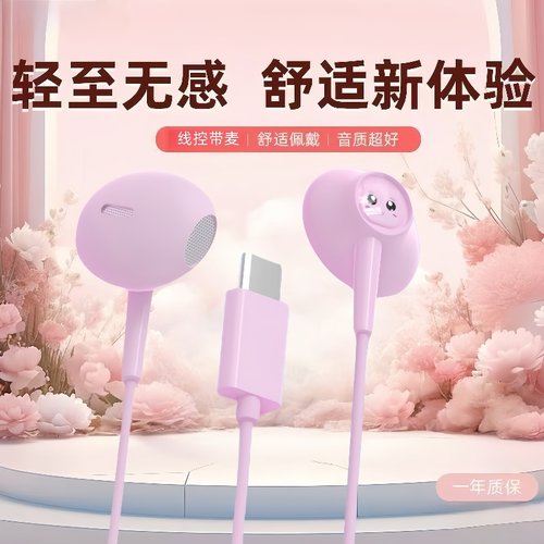 耳机typec接口入耳式高品质线控圆孔耳机适用于华为OPPO小米通用