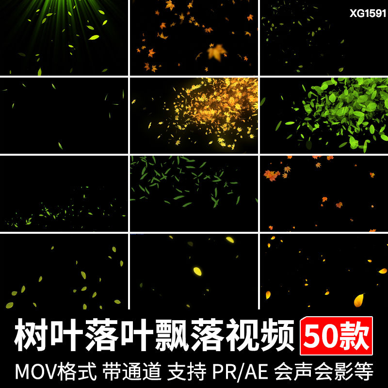 树叶绿叶子落叶枫叶秋天起风飘落特效动态透明通道pr ae视频剪辑