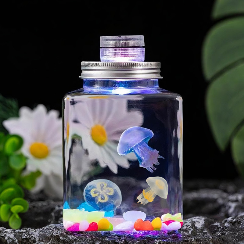 水母活物家养好养海洋馆小宠物赤月海月包活到家桌面小朋友礼物