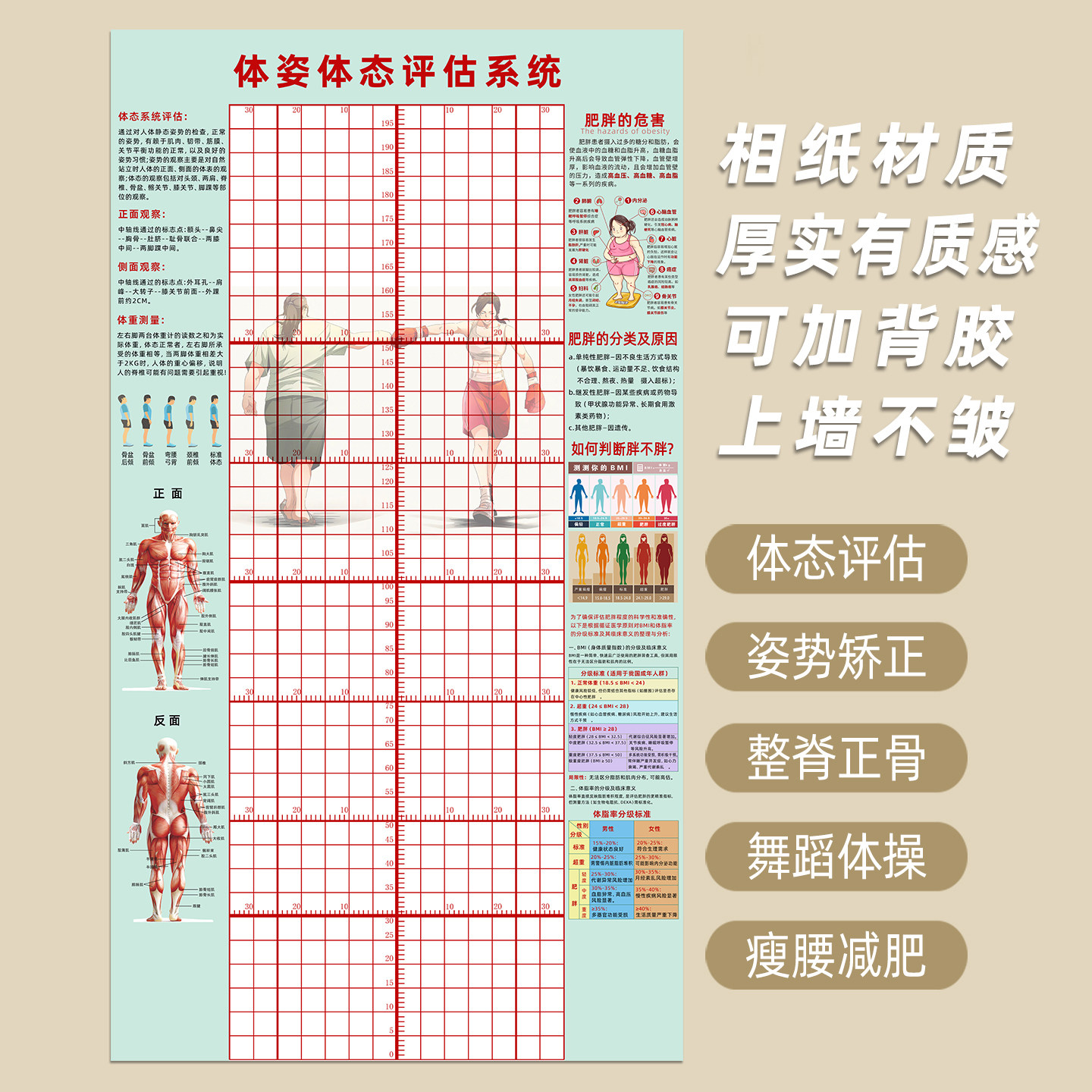 体态评估表图表体姿矫正健身房工作室瑜伽馆壁画定制相纸粘贴装饰