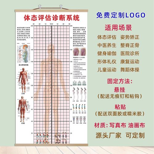 产后体型修复体态评估表图挂式粘贴体测网络身高贴身型矫正可定制
