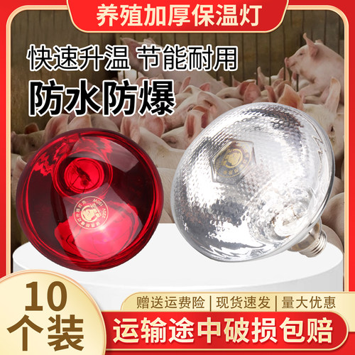 猪博士猪用养殖保温灯兽专用取暖灯泡小鸡育雏加热烤灯养殖场设备