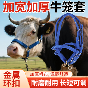 牛笼头套栓牛笼头牛头套栓牛绳子缰绳小牛大牛龙头牛笼嘴牛绳子
