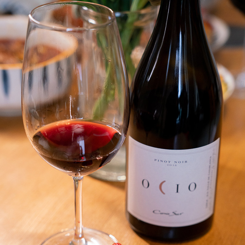 【十八罗汉智利黑皮诺之王】智利柯诺苏逸品黑比诺红葡萄酒