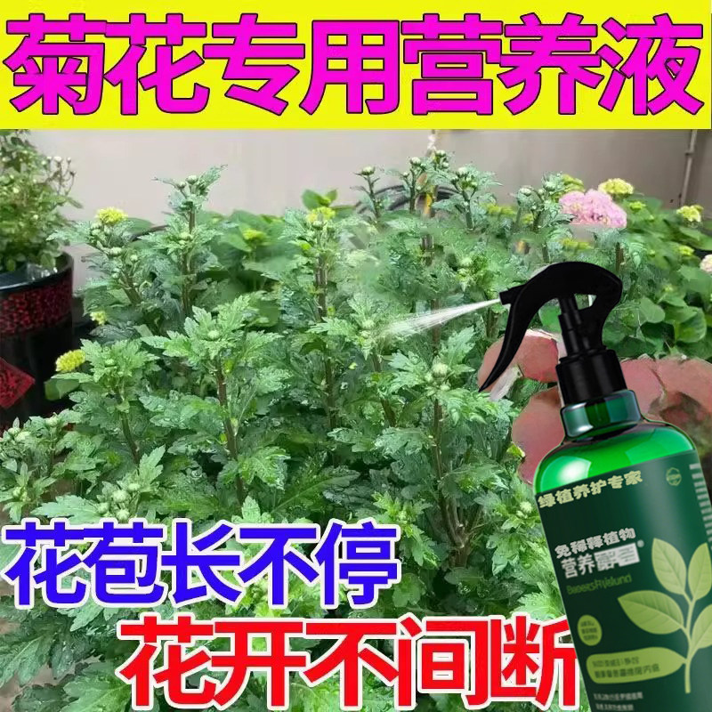 菊花营养液专用肥颗粒缓释肥水苔专用复合肥有机肥料磷酸二氢钾肥