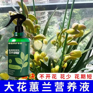 大花蕙兰催花剂催花促花肥兰花营养液养花通用型生根去黄叶专用肥