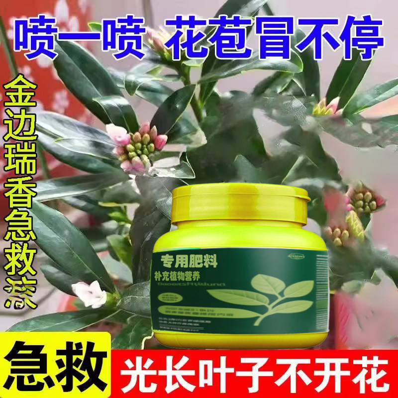 金边瑞香专用肥料养殖盆栽土壤养护开花肥营养液叶面肥有机肥肥料