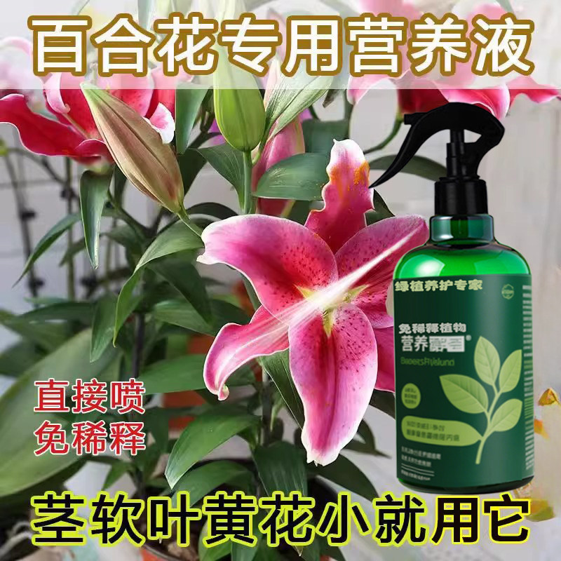 百合花专用营养液种球花肥香水百合花专用肥料有机氮磷钾促开花肥