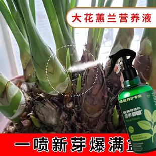 大花蕙兰专用肥花卉肥料通用型控释营养颗粒肥有机花肥家用盆栽肥