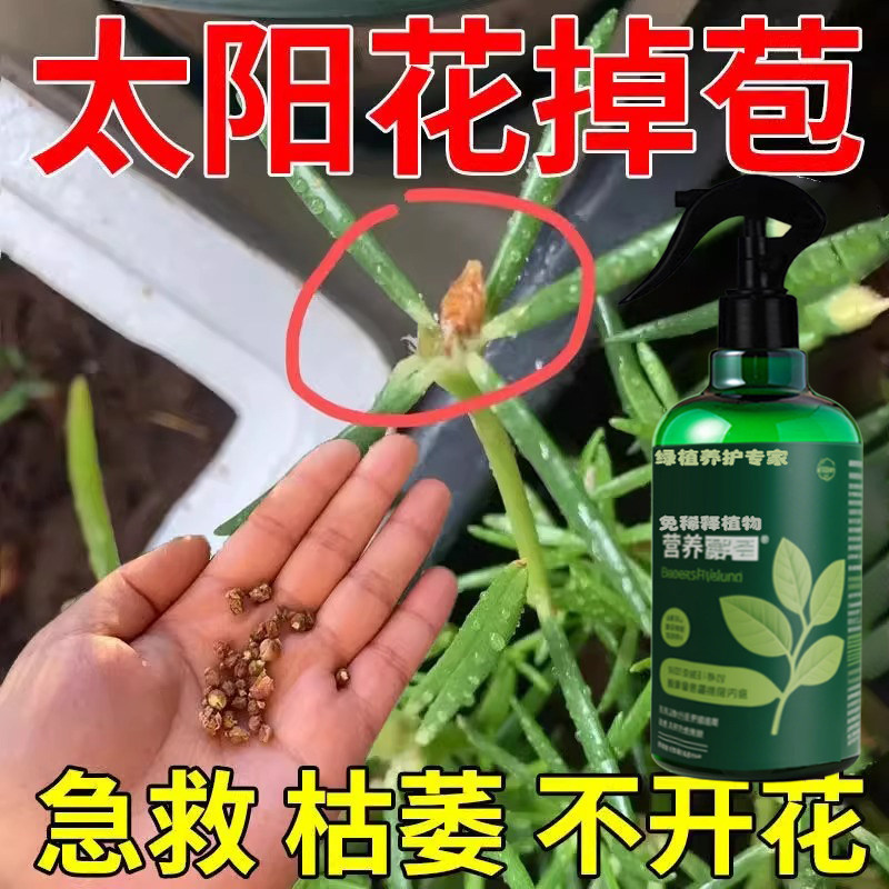 【三天爆盆】太阳花营养液高效专用防黄叶落叶掉苞促开花慢免稀释
