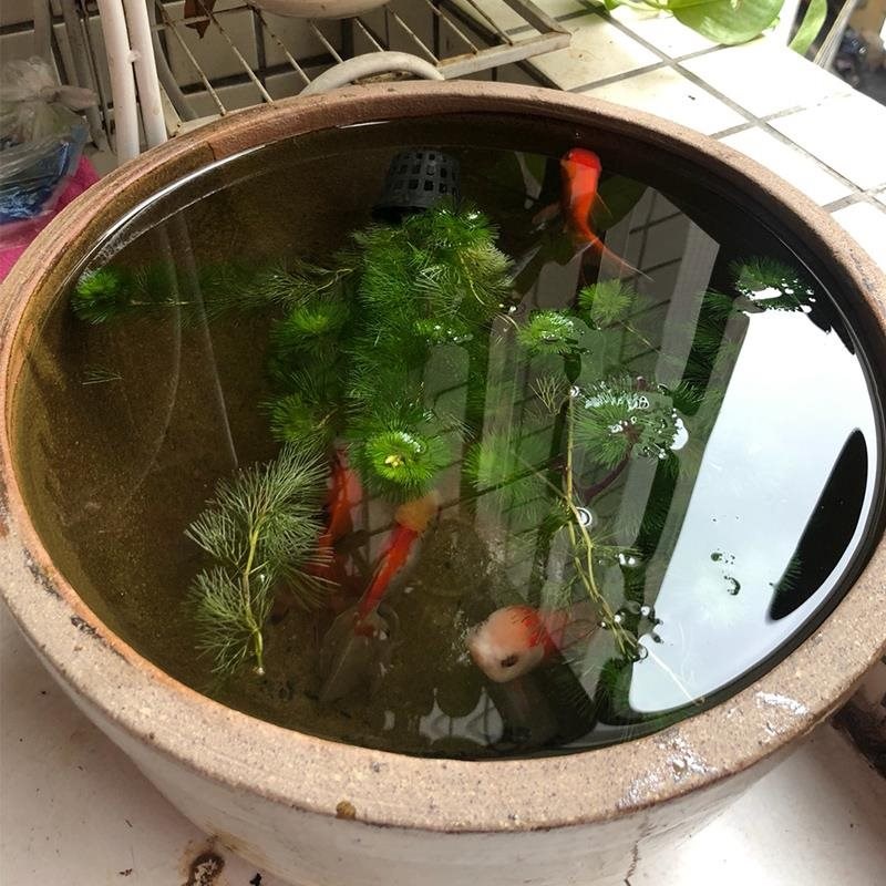 地震后需防备这些盛行症