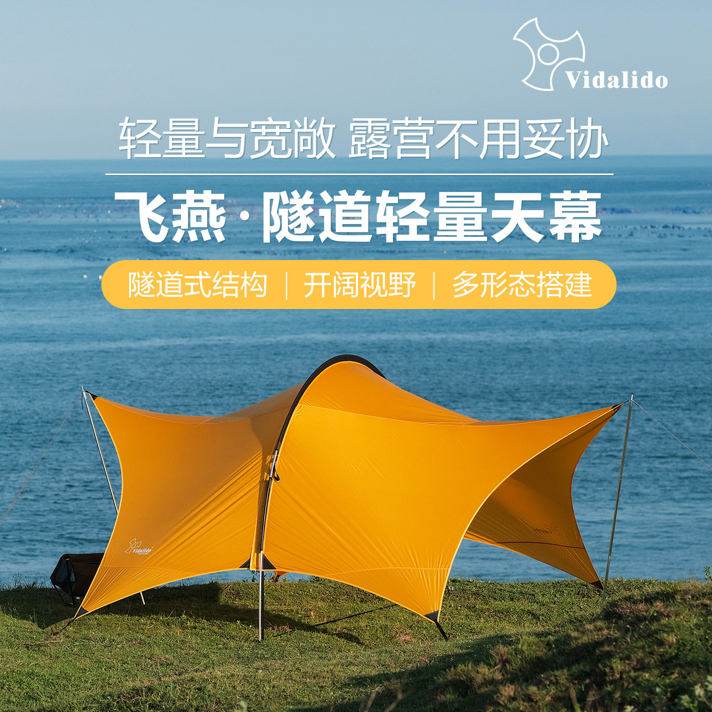 维达利多飞燕隧道轻量化天幕图片
