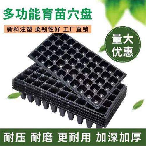 加厚苗盘育苗盘穴盘草莓玉米辣椒西瓜蔬菜托盘营养育苗杯