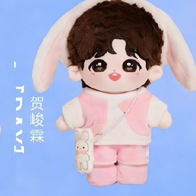 三专隐藏款时代少年团棉花娃娃贺峻霖20cm属性棉花娃娃正品