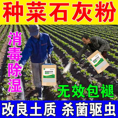 种菜专用石灰粉生石灰杀虫消毒干燥剂菜地驱蛇粉养殖土壤除湿防潮
