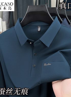 啄木鸟2025新款春秋桑蚕丝高端翻领polo衫男长袖T恤休闲爸爸上衣