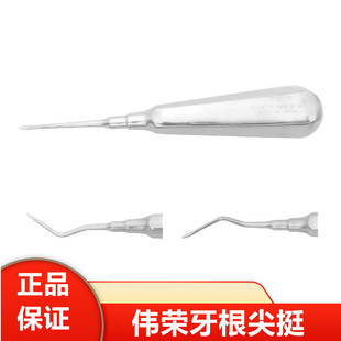 星齿伟荣牙科工具微创牙挺不锈钢口腔材料器械直弯根尖弯挺医用