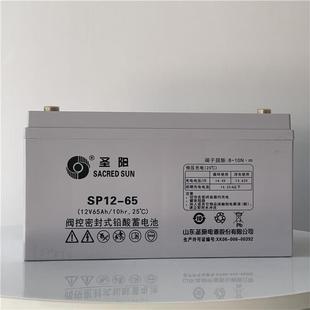 山东圣阳蓄电池SP12 UPS电源直流屏专用圣阳蓄电池 100 12V100AH