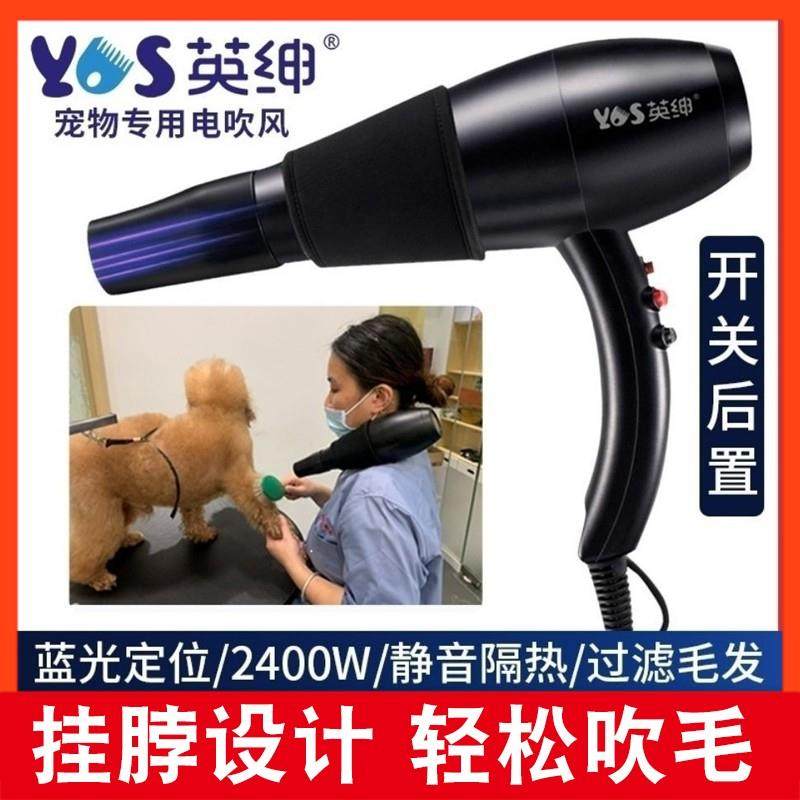 英绅宠物吹风机拉毛一体机狗狗吹毛机猫咪吹水机洗澡挂脖电吹风筒,宠物/宠物食品及用品,吹水机,淘宝优惠券,粉丝福利购,淘宝优惠卷