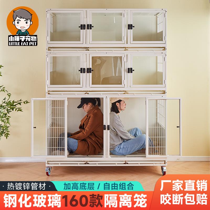 宠物狗笼子寄养展示柜宠物医院住院笼室内隔离繁殖猫舍繁育小胖子