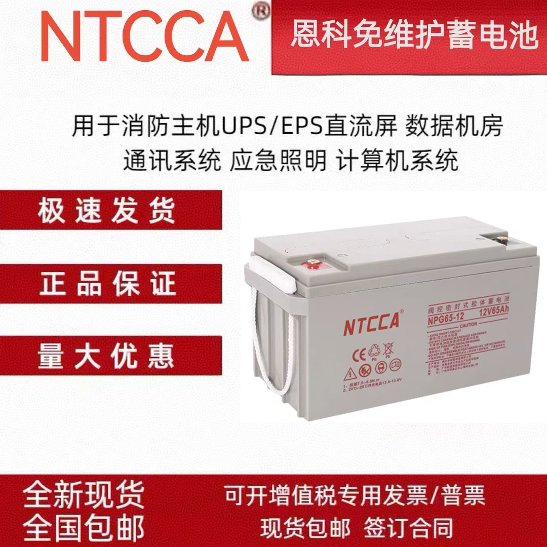 NTCCA恩科蓄电池NPG12v17AH20AH24AH38AH40AH65AH100AH机房电源