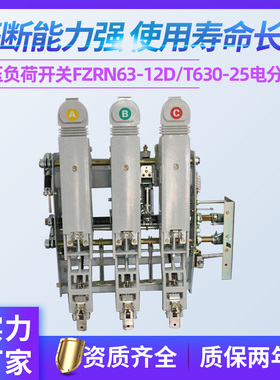 高压真空负荷开关FZRN61-12D/630-20手合电分FZRN60-12D负荷开关