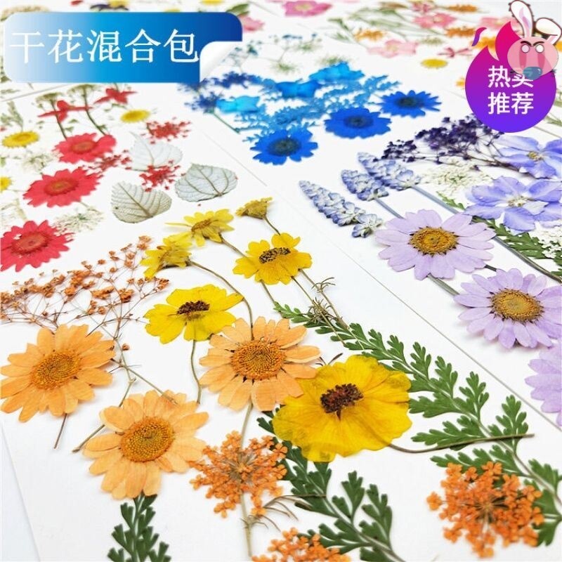 干花DIY材料押花压花书签真树叶植物标本滴胶手机壳化妆美甲花叶_虎窝淘