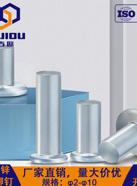 GB109铁镀锌平头实心铆钉敲击式柳钉GB882销轴卯钉卯丁毛钉大全