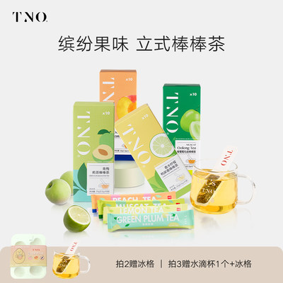 TNO棒棒水果茶冷泡茶包