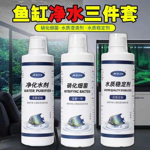 倍鱼斯6号水族鱼缸硝化细菌水质发黄长藻发绿发白羽病斯浑浊净化