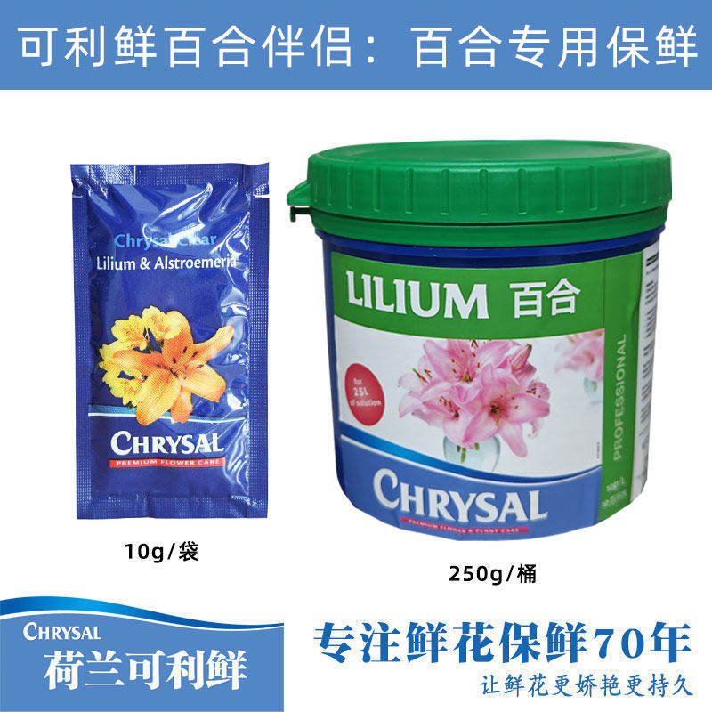荷兰可利鲜鲜花荷兰百合专用伴侣