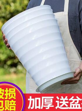 新疆包邮花盆陶瓷特大号30cm以上超大螺纹花盆加厚白色黑色仿瓷树