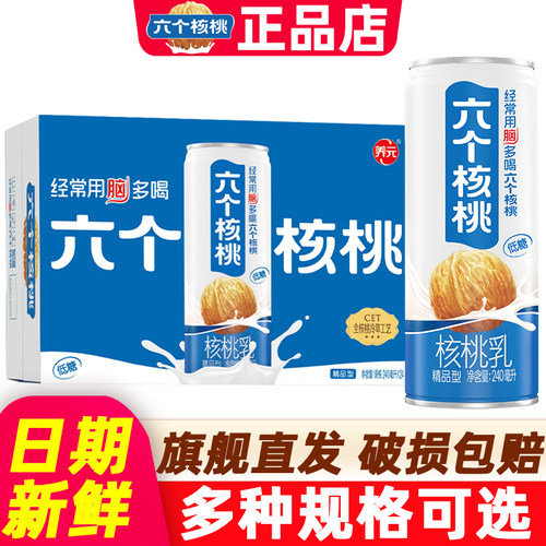 六个核桃精品型核桃乳240ml*20罐