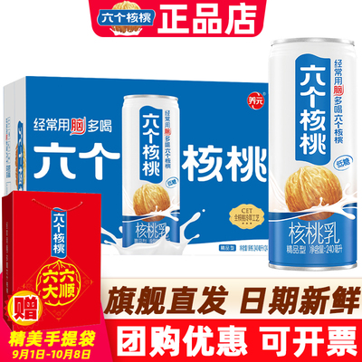 六个核桃精品型核桃乳240ml*20罐