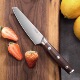 四夕郎德国进口小水果刀商用高档办公室用削皮超锋利家用水果刀具
