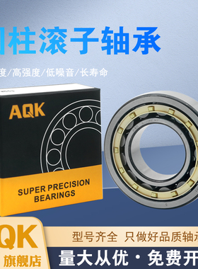 AQK 圆柱滚子 NJ1004 NJ1005 NJ1006 NJ1007 E.M1 E.JP E.TVP2 C3