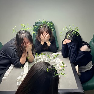 一种很新的惩罚方式搞笑小草发夹春节朋友聚会打麻将惩罚发卡道具