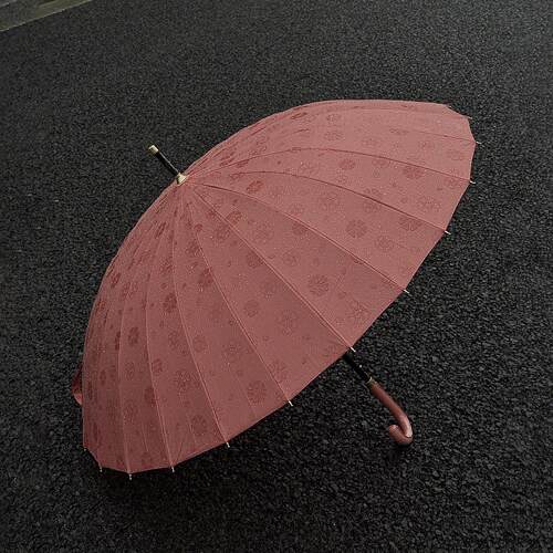 学生上学专用小清新雨伞直杆伞