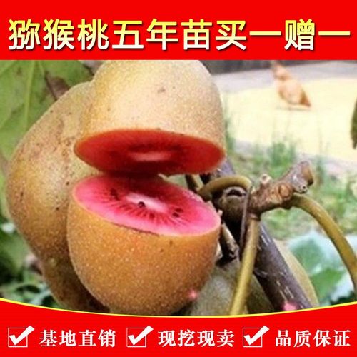 Omivjyvdwyh8bm Omivjyvdwyh8bm