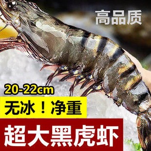 黑虎虾超大新鲜大虾老虎虾鲜活虎虾基围虾特大速冻海鲜斑竹九节虾