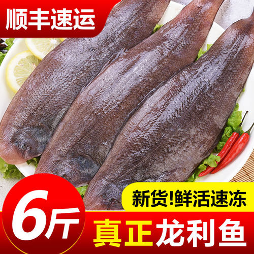 龙利鱼新鲜冷冻舌头鱼