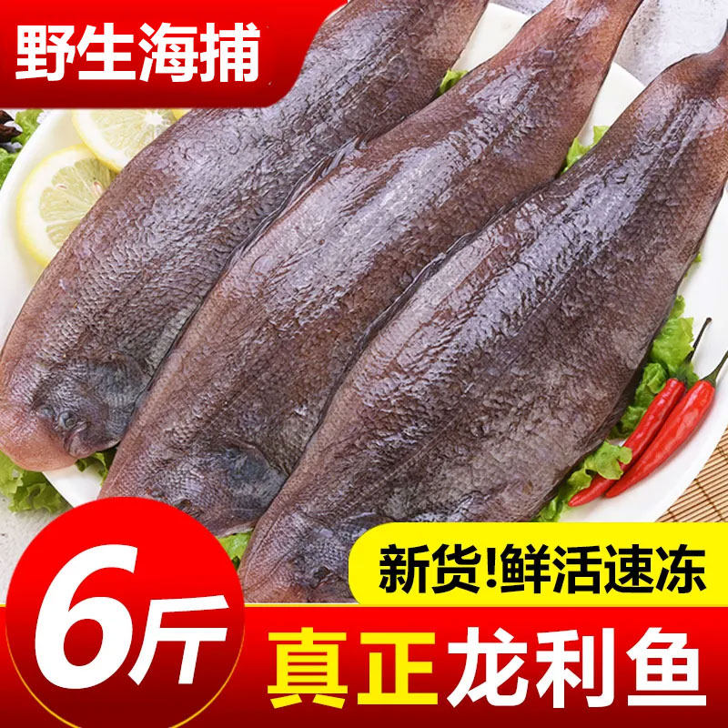 龙利鱼新鲜冷冻舌头鱼深海踏板鱼海鲜水产牛舌鱼非巴沙鱼商用