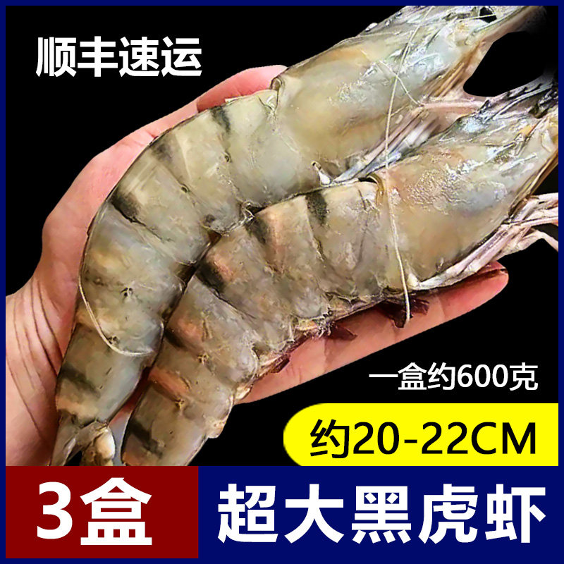超大黑虎虾新鲜冷冻鲜活基围虾海鲜斑竹九节虾开海新捕顺丰包邮,水产肉类/新鲜蔬果/熟食,冻虾,淘宝优惠券,粉丝福利购,淘宝优惠卷
