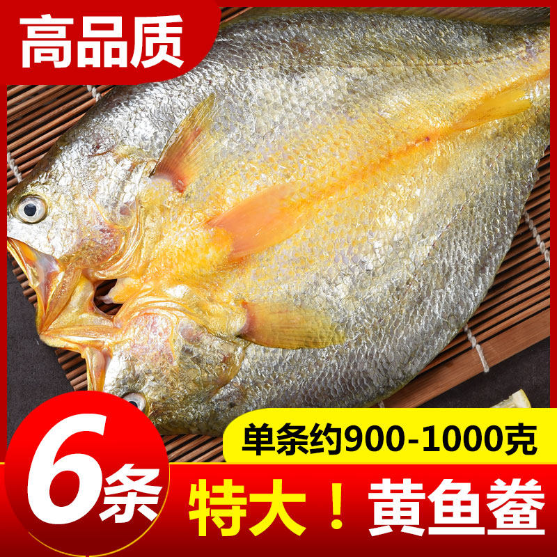 黄鱼鲞新鲜冷冻大黄鱼黄花鱼三去生鲜宁德小黄鱼海鲜鱼类海鱼商用