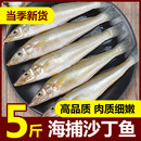 沙丁鱼深海鱼新鲜冷冻小银鱼鲜活海鲜水产烧烤食材面条鱼无小刺