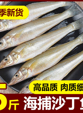 沙丁鱼深海鱼新鲜冷冻小银鱼鲜活海鲜水产烧烤食材面条鱼无小刺